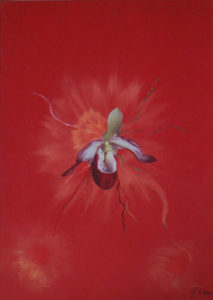 Orchidee 1, 2011