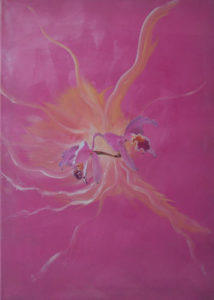 Orchidee 4, 2011