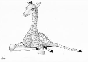 Illustratie 5 voor kindertherapiepraktijk de Giraf