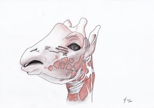 Illustratie 2 voor kindertherapiepraktijk de Giraf