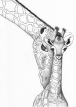 tekening 4 voor kindertherapiepraktijk de Giraf