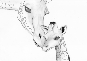Illustratie 3 voor kindertherapiepraktijk de Giraf